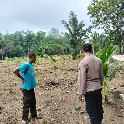 Polsek Muara Harus Kunjungan Sekaligus Koordinasi ke Petani Kelapa di Perkebunan Desa Tantaringin Kecamatan Muara Harus