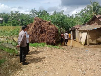 Diduga Akibat Meningkatnya Debit Air, Sebuah Pohon Bambu Roboh Menimpa Rumah Warga