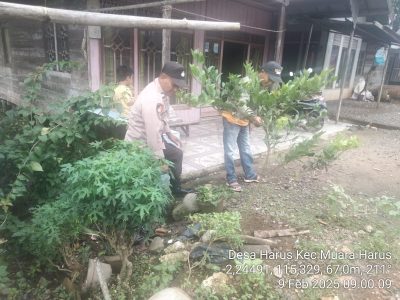 Dari Pekarangan ke Ketahanan Pangan: Semangat Petani Desa Harus dalam Kemandirian Pangan