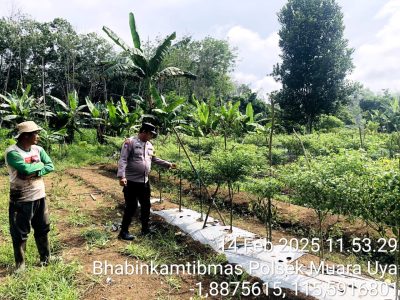 Panen Harapan: Bhabinkamtibmas Muara Uya Dukung Petani Holtikultura, Ketahanan Pangan Makin Kuat!