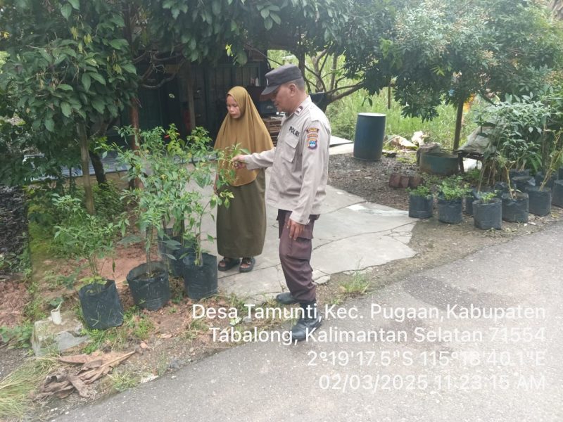 Polsek Pugaan Ajak Warga Manfaatkan Pekarangan Rumah Jadi Sumber Pangan