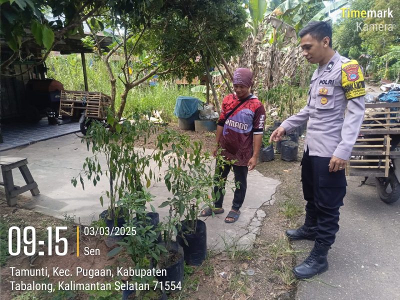 Bhabinkamtibmas Kunjungi Pekarangan Rumah Warga Gaungkan Ketahanan Pangan