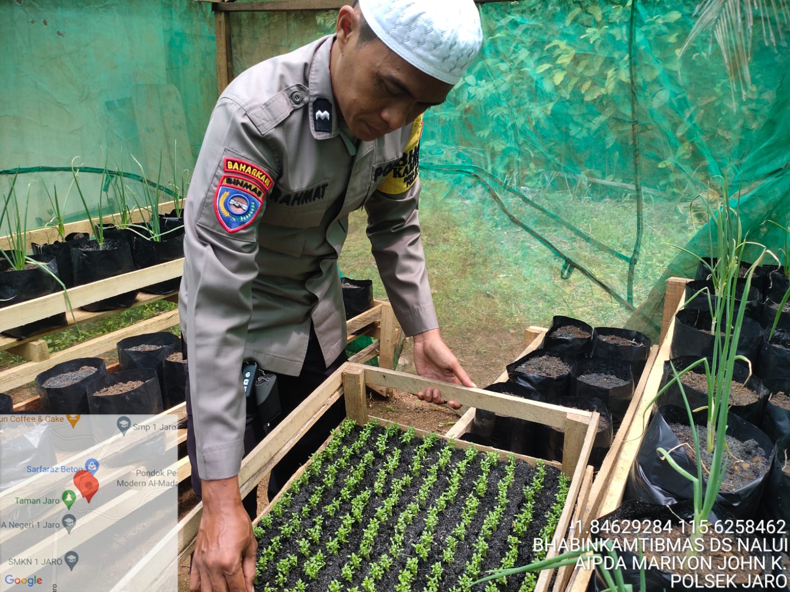 Dukung Ketahanan Pangan, Polsek Jaro Kembangkan P2L