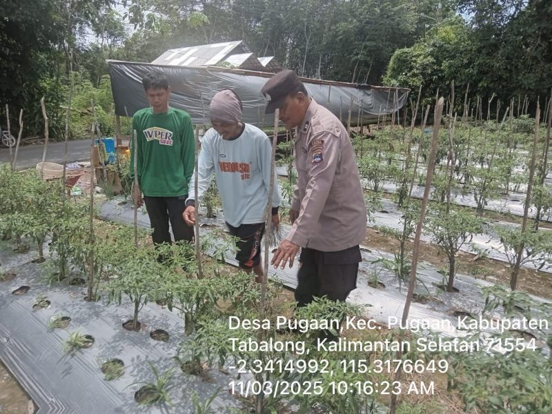 Kanit Binmas Kunjungi Dan Motivasi Petani Dalam Rangka Program Ketahanan Pangan