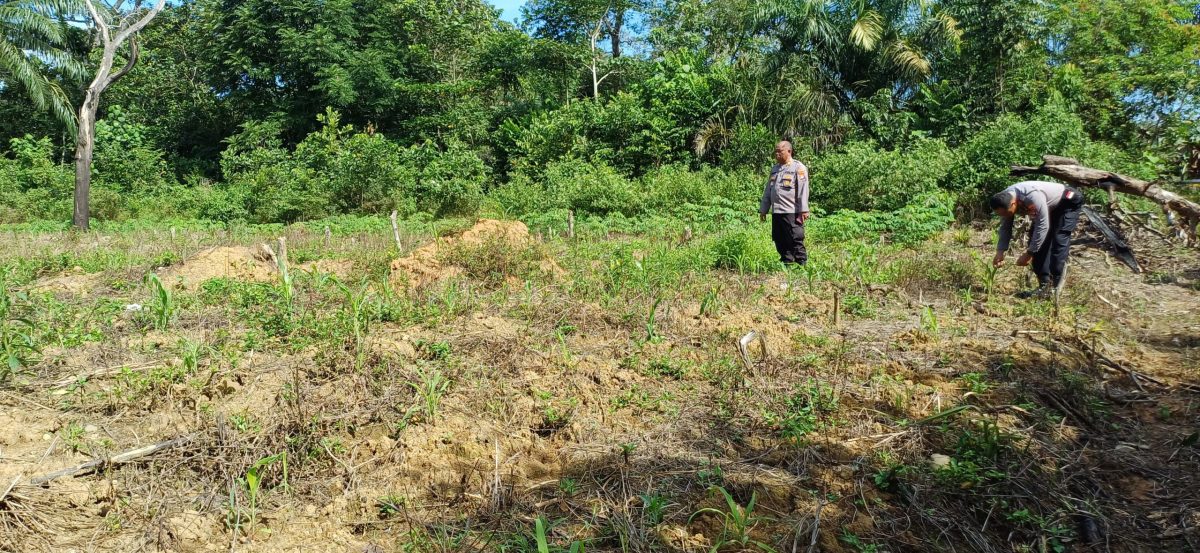 Polres Tabalong Dukung Program Ketahanan Pangan Nasional dengan Pemanfaatan Lahan Produktif