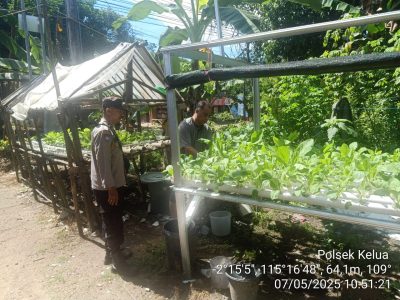 Pekarangan Jadi Lumbung: Bhabinkamtibmas Kelua Dukung Ketahanan Pangan dari Rumah Warga