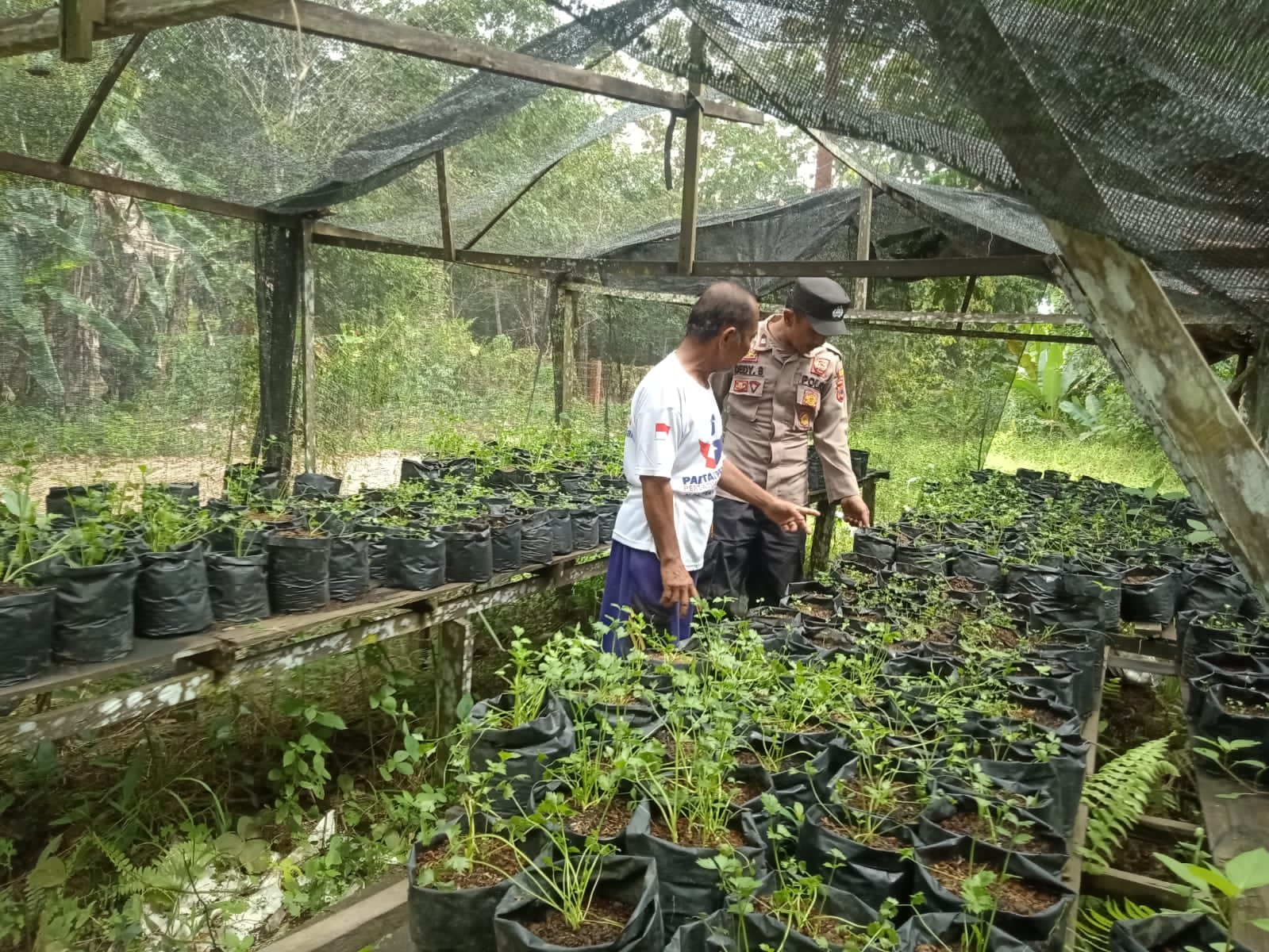 Dukung Ketahanan Pangan, Polsek Kelua Koordinasi dengan Petani Seledri dan Terong di Desa Karangan Putih