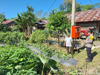 Dukung Program Ketahanan Pangan, Polsek Muara Harus Lakukan Kunjungan ke Perkarangan Rumah Milik Warga