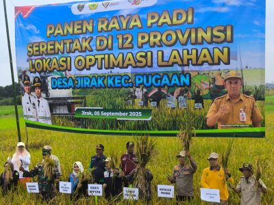 Polsek Pugaan Hadiri Panen Raya Padi Serentak di Desa Jirak, Wujud Dukungan Polri terhadap Ketahanan Pangan