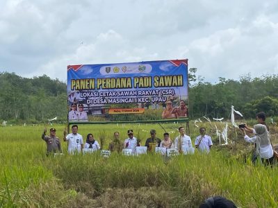 Polsek Upau Hadiri Panen Perdana Padi Cetak Sawah Rakyat 2026 di Desa Masingai 1, Wujud Dukungan Ketahanan Pangan