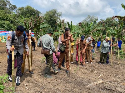 Polsek Muara Harus Bersama Kelompok Tani Laksanakan Penanaman Jagung Kuartal II Dukung Swasembada Pangan 2026