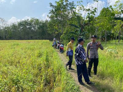Polsek Muara Harus Dampingi Pengecekan Lahan CPCL Jagung Pakan di Desa Harus