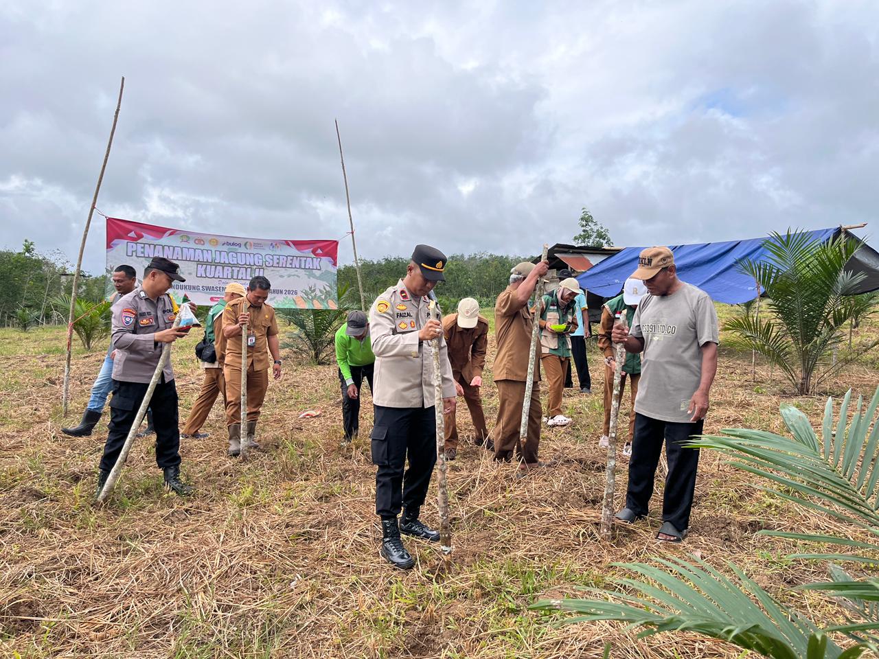 Kapolsek Haruai Pimpin Penanaman Jagung Serentak Kuartal II Kerja Sama Poktan Dukung Ketahanan Pangan Nasional