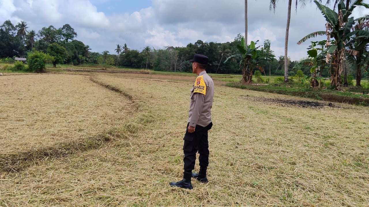 Polri Lakukan Survei dan Pengecekan Lahan Jagung, Polsek Jaro Pastikan Program Berjalan Optimal