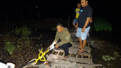 Pelajar Ditemukan Meninggal Dunia di Persawahan Desa Hapalah, Polisi Lakukan Olah TKP