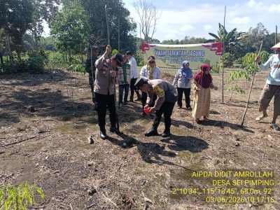 Polsek Tanjung Dukung Swasembada Pangan Jagung Di Sungai Pimping