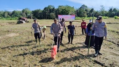 Penanaman Jagung Kuartal II Dukung Swasembada Pangan Tahun 2026 Di Desa Muang
