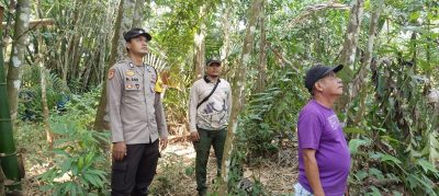 Polsek Banua Lawas Bersama BKSDA Lakukan Pemantauan Orangutan yang Masuk ke Lahan Warga
